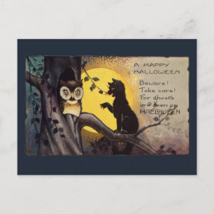 Kat Waarschuwt Uil Vintage Halloween Ansichtkaart Briefkaart