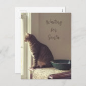 Kat wacht op de kerstman feestdagenkaart (Voorkant / Achterkant)