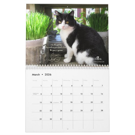 Kat Wall Agenda Kalender (Mar 2026)
