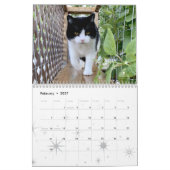 Kat Wall Calendar 2021, leven van sly Pie Kalender (Feb 2027)