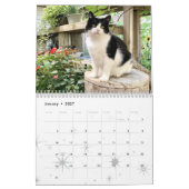 Kat Wall Calendar 2021, leven van sly Pie Kalender (Jan 2027)