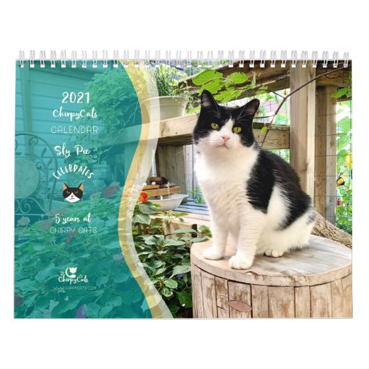 Kat Wall Calendar 2021, leven van sly Pie Kalender (Hoes)