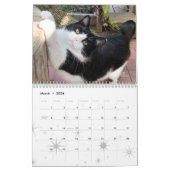Kat Wall Calendar 2021, leven van sly Pie Kalender (Mar 2026)