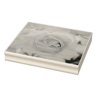 Kat-wandeling Rubberstempel