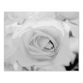 Kat-wandeling Rubberstempel (Afrduk)