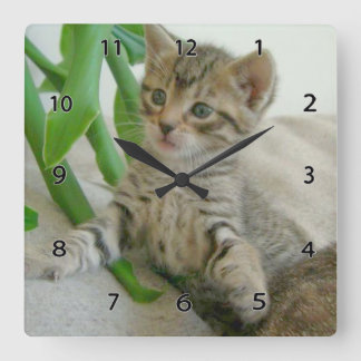 Kat-wandklok Vierkante Klok