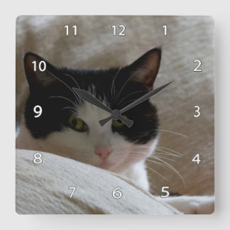Kat-wandklok Vierkante Klok