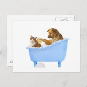 Kat Wassen Briefkaart (Voorkant / Achterkant)