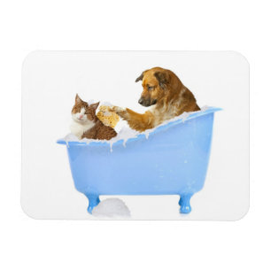 Kat Wassen Magneet