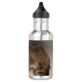 Kat Water Fles (Rechts)