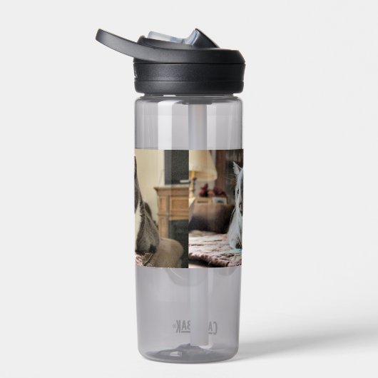 Kat Waterfles (Rechts)