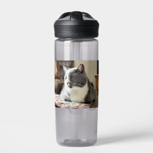 Kat Waterfles