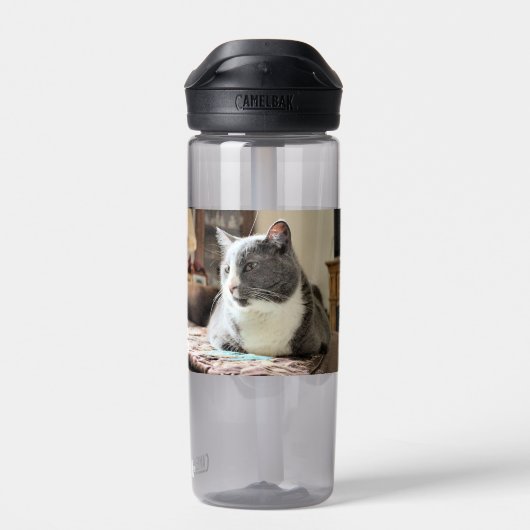 Kat Waterfles (Achterkant)