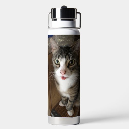 Kat Waterfles (Achterkant)