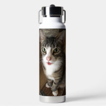 Kat