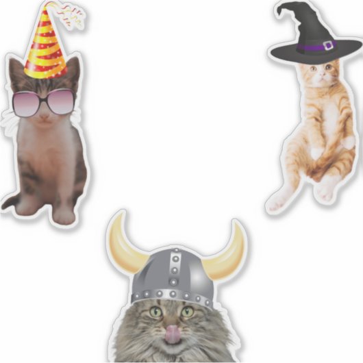 Kat Wearing Pet Sticker (Voorkant)