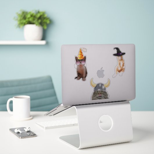Kat Wearing Pet Sticker (Laptop op bureau)