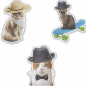 Kat Wearing Pet Sticker (Voorkant)