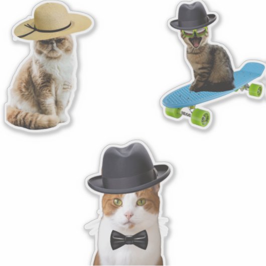 Kat Wearing Pet Sticker (Voorkant)