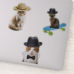 Kat Wearing Pet Sticker