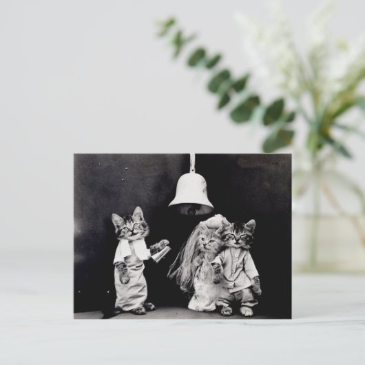 Kat Wedding Briefkaart (Staand voorkant)