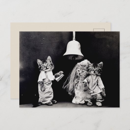 Kat Wedding Briefkaart (Voorkant / Achterkant)