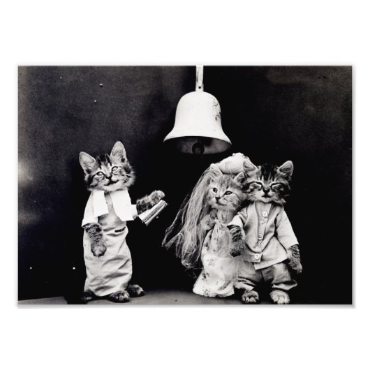 Kat Wedding Foto Afdruk (Voorkant)