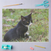 Kat-weefselpapier Tissuepapier (Craft)