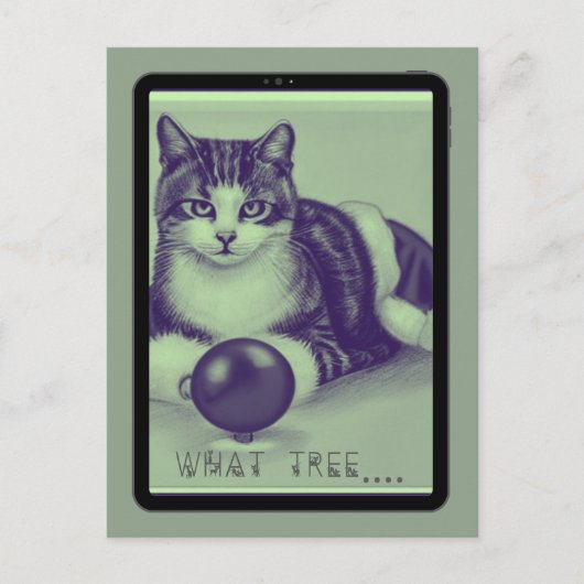 Kat: "Welke boom?" Briefkaart (Voorkant)
