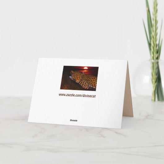 kat wenskaart kaart (Achterkant)