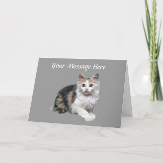 Kat Wenskaart Kaart