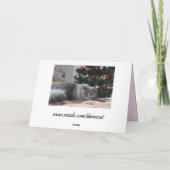 kat wenskaart kaart (Achterkant)