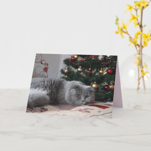 kat wenskaart kaart (Gele Bloem)