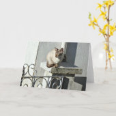 Kat Wenskaart Kaart (Gele Bloem)