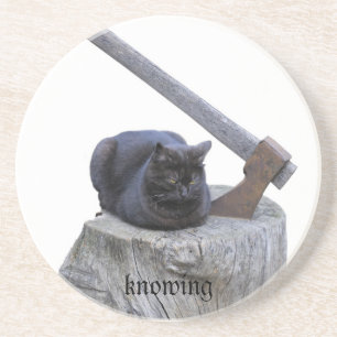 kat, wetend zandsteen onderzetter