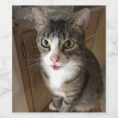 Kat Wijn Etiket (Enkel label)