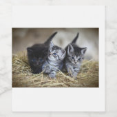 Kat Wijn Etiket (Enkel label)