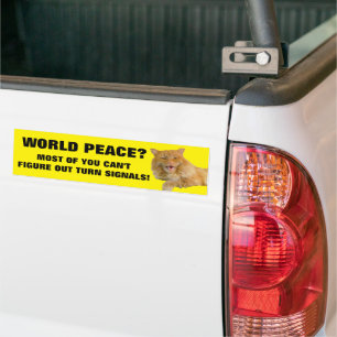 Kat wil dat je je oogklep gebruikt bumpersticker