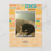 Kat Wishes Briefkaart (Voorkant)