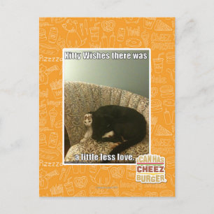 Kat Wishes Briefkaart