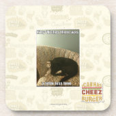 Kat Wishes Drankjes Onderzetter (Voorkant)