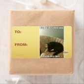 Kat Wishes Etiket (Insitu)