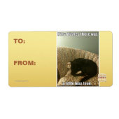 Kat Wishes Etiket (Voorkant)