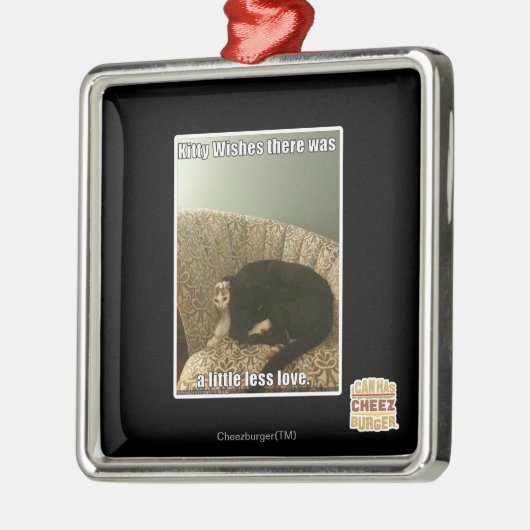 Kat Wishes Metalen Ornament (Links)