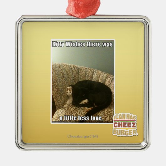 Kat Wishes Metalen Ornament (Voorkant)