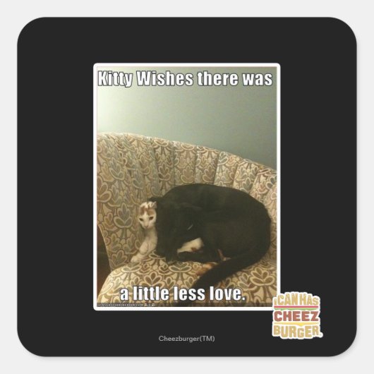 Kat Wishes Vierkante Sticker (Voorkant)