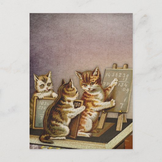 Kat-wiskunde Briefkaart (Voorkant)