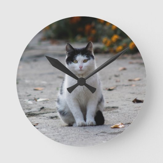Kat, wit, huisdier ronde klok (Voorkant)