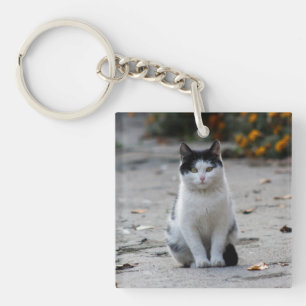 Kat, Witte, Huisdier Sleutelhanger