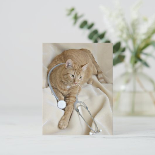 Kat wordt goed briefkaart (Staand voorkant)